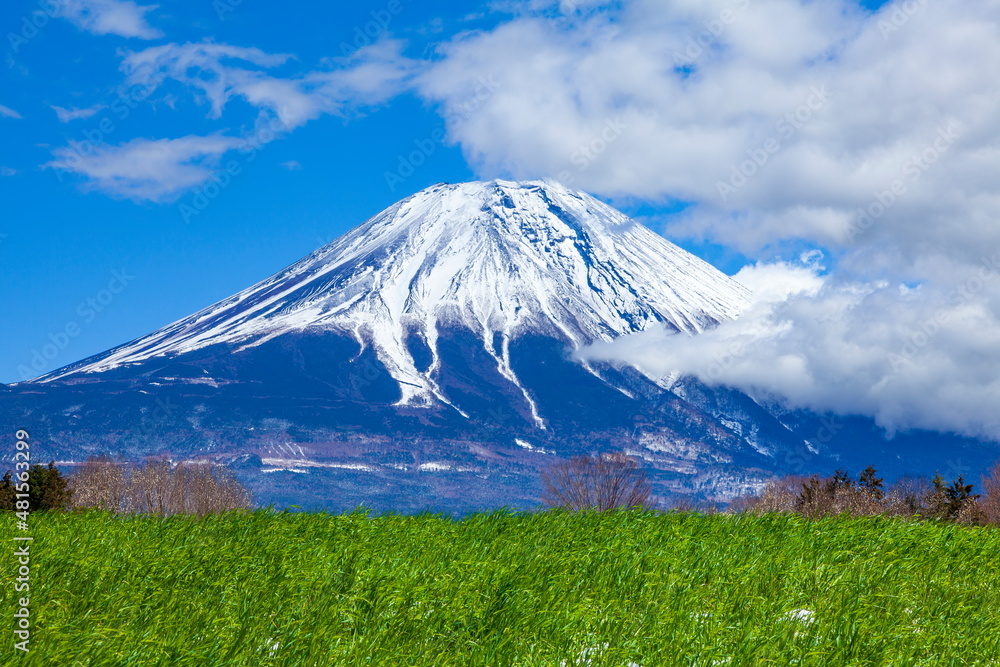 春の富士山　静岡県富士宮市朝霧高原にて
