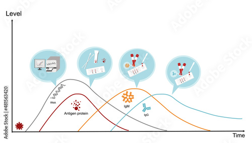 The detection timeline graph of each targets (RNA virus, Antigen protein, IgM and IgG) after COVID-19 (SARS-CoV-2) infection.