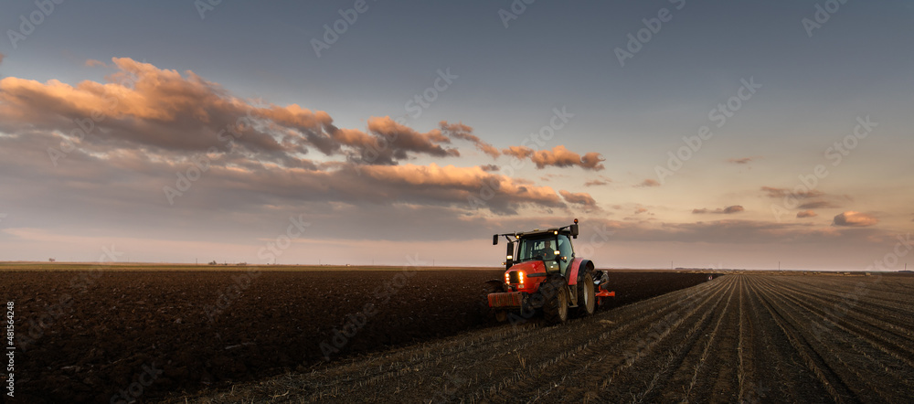 Fototapeta premium Tractor on the field during sunset.