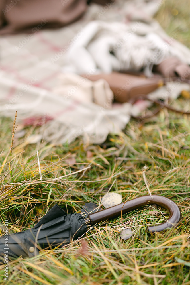 Obraz premium umbrella cane lies on the fall grass with a low depth of field. A picnic in nature and a plaid in the background. Selected focus