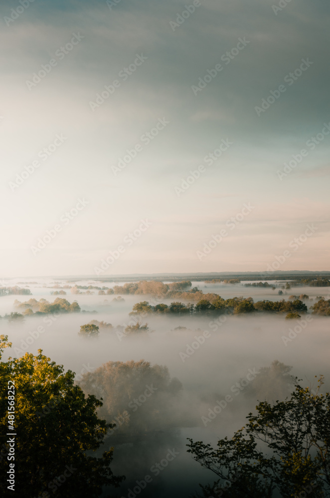 Krajobraz we mgle poranek