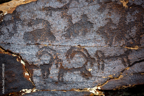 Petroglyphs on the rocks in Kazakhstan. The ancient parking cave man. Historical cave paintings. Carved on stone images of deer, goats and wolves. The development of ancient peoples.