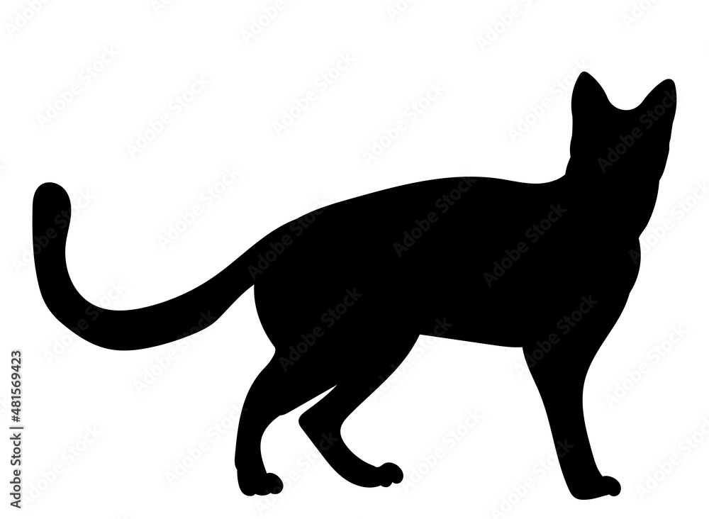 cat black silhouette, vector, isolated