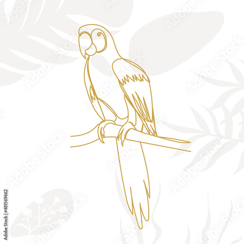 parrot continuous line drawing, on an abstract background, vector, isolated