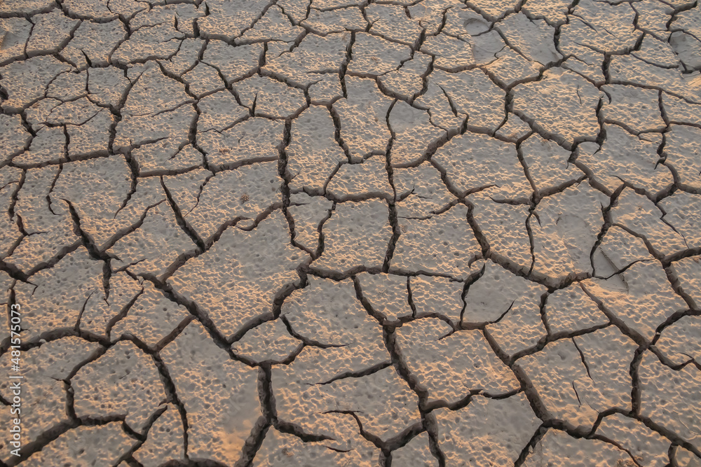 The fields are dry, the ground is broken. The fields are dry, the ground is broken.