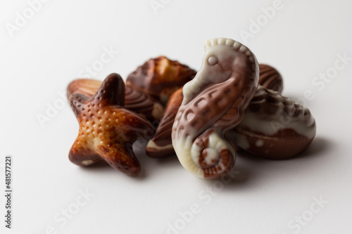 Chocolates seashells isolated on white background.