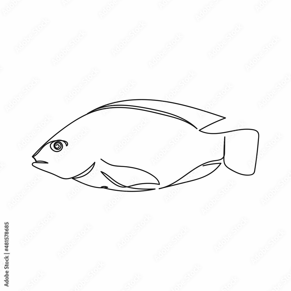 Continuous one simple single abstract line drawing of tilapia fresh