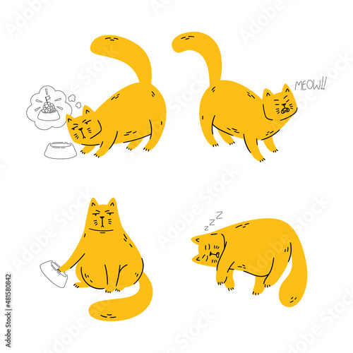 Disgruntled cat wonders where his food is, meows, demands his food, sleeps. Set of pet vector illustration isolated on white background. Simple cartoon doodle style. Funny chubby domestic animal. (ID: 481580842)