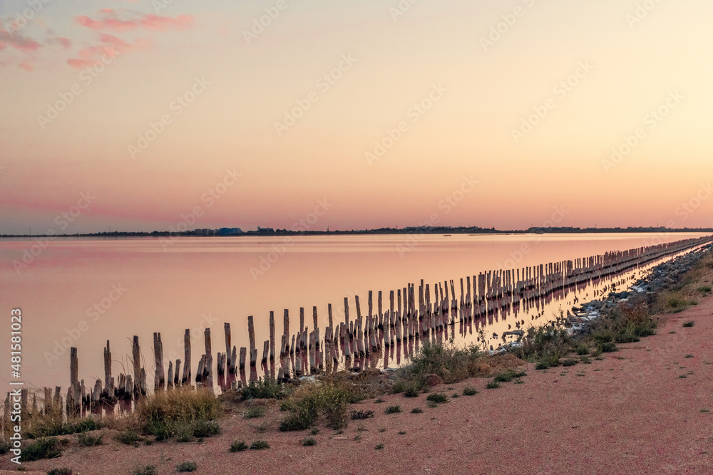 Obraz premium Salt pillars on the pink lake. Sunset, sunrise on a summer day on a pink lake.