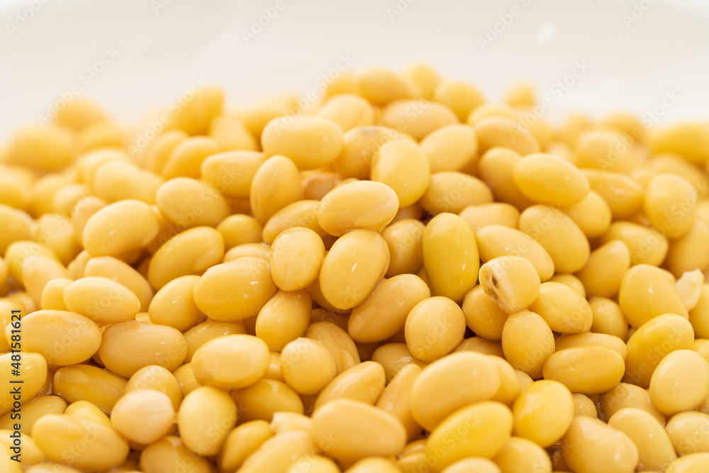 Soybeans with water on a pure white background Soybeans with water on a pure white background