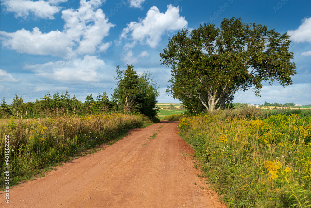 Clay dirt roads running through farmland in rural Prince Edward Island, Canada.