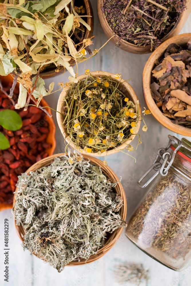 Fototapeta premium Collection of dry herbs and berries