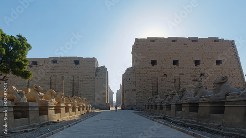 Canvas Print Avenue of Sphinxes at the entrance of Karnak temple in Luxor, Egypt