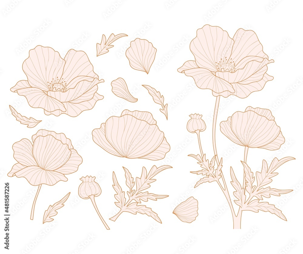 Poppy flowers and petals silhouette collection for design. Flowers and leaves set