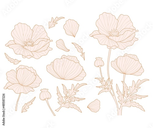 Poppy flowers and petals silhouette collection for design. Flowers and leaves set