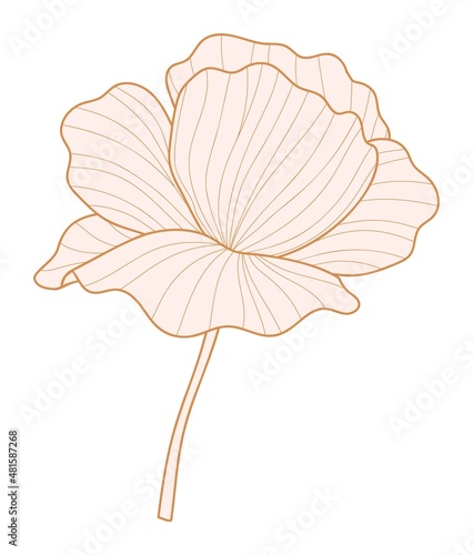 Poppy flower silhouette for design. Flower head vector icon