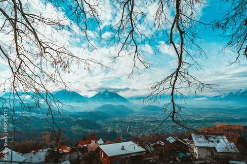 landscape with blossoms
