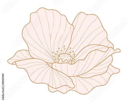 Poppy flower silhouette for design. Flower head vector icon