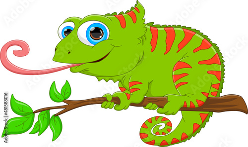 cartoon cute iguana on white background