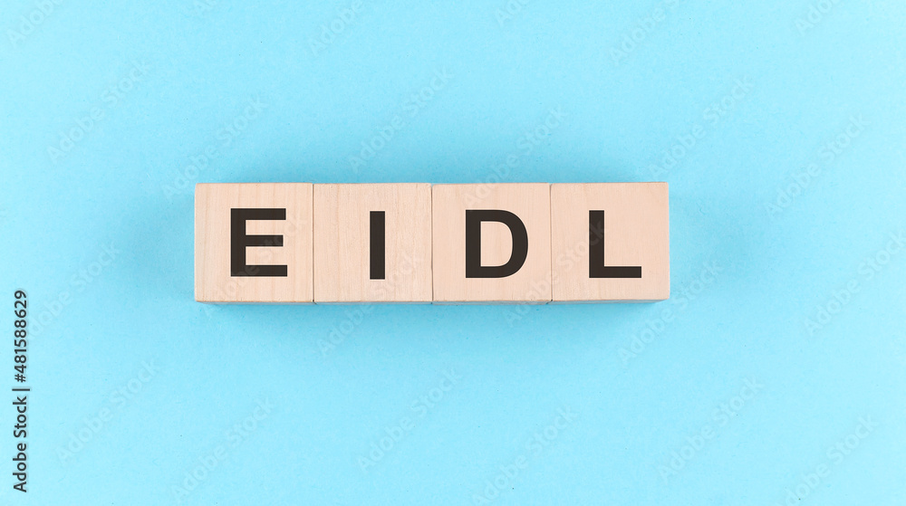 Wooden cube block with text EIDL on the blue background Wooden cube block with text EIDL on the blue background