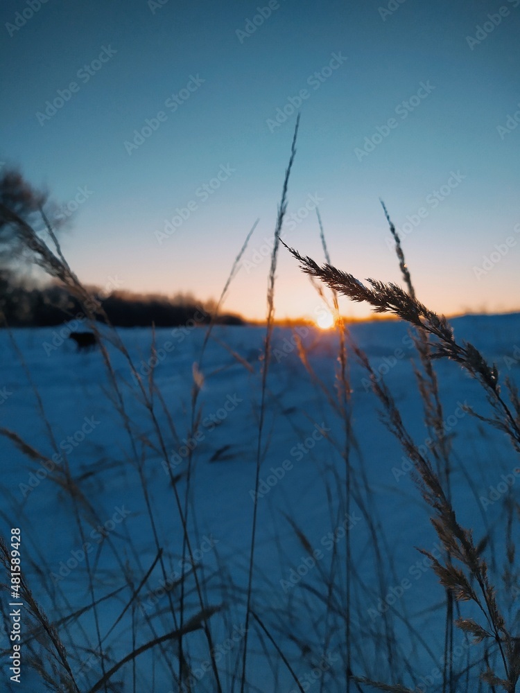 Fototapeta premium sunset over the lake
