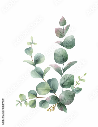 Watercolor hand painted green eucalyptus bouquet.