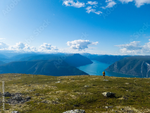 View of Sognefjorden, Norway from the top of the mountain Vetanosi.
