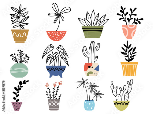 Set of cactus in pots. Collection of home succulents flower. Gardening plants. Floral exotic decor. Vector illustration on white background. 