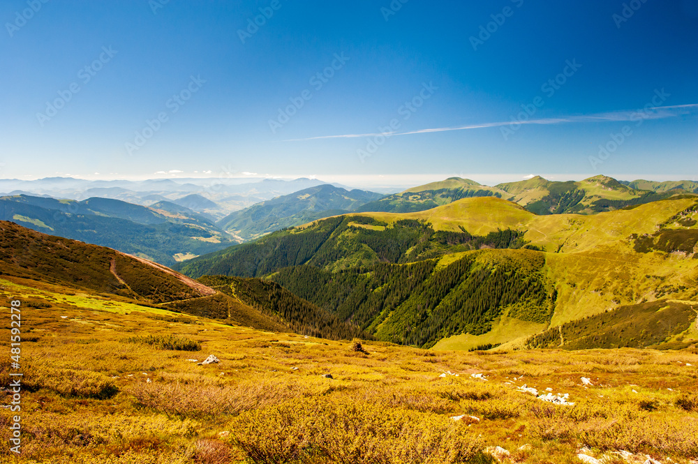 Fototapeta premium View of Maramures ridge from Rodna Mountains National Park hike, Muntii Rodnei National Park, Romania, Romanian Carpathian Mountains, Europe.