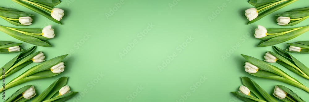 White tulips on green background banner. Natural fresh flowers with green leaves. Spring sale mockup. Beautiful holiday composition. Floral seasonal flat lay. Top view, copy space. White tulips on green background banner. Natural fresh flowers with green leaves. Spring sale mockup. Beautiful holiday composition. Floral seasonal flat lay. Top view, copy space.