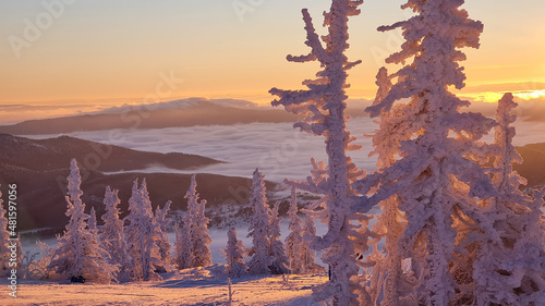 Winter landscape in Sheregesh ski resort in Russia, located in Mountain Shoriya, Siberia. Snow-covered fir trees on the background of mountains. photo