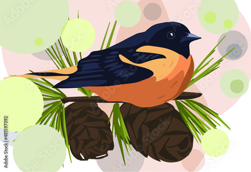 image of an oriole with cones