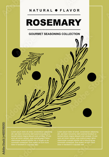 Rosemary. Set of posters of spices, herbs, organic product in a abstract draw design. Label or poster for food preparing and culinary. Simple, flat design. For poster, cover, banner.