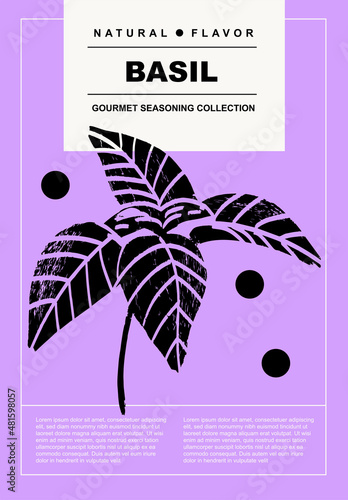 Basil. Set of posters of spices, herbs, organic product in a abstract draw design. Label or poster for food preparing and culinary. Simple, flat design. For poster, cover, banner.