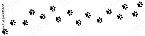Animal Paw Track - Black Vector Icons Isolated On White Background