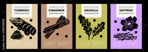 Turmeric, cinnamon, arugula, saffron. Set of posters of spices and herbs in a abstract draw design. Label or poster for food preparing and culinary. Simple, flat design. For poster, cover, banner. 