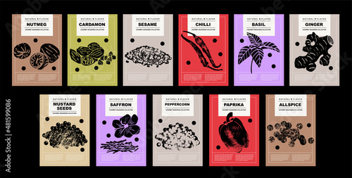Nutmeg, cardamon, sesame, chilli, basil, ginger, mustard seeds, saffron, peppercorn, paprika, allspice. Set of posters of spices and herbs for food preparing and culinary in a abstract design