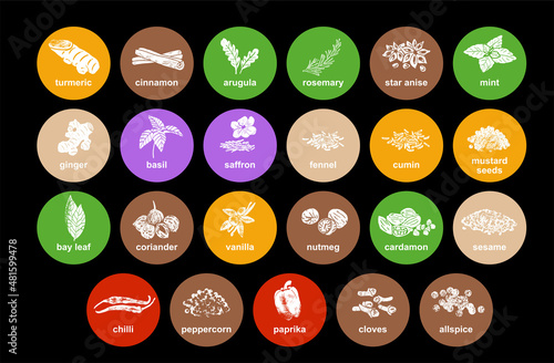 Spices and herbs stickers and labels. Different color packaging for food preparing and culinary. Bags with herbs. Rosemary, star anise, ginger, basil and mint organic product for selling vector set. 