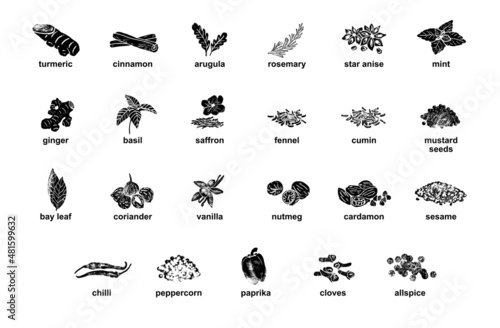 Kitchen herbs and spices isolated vector set. Illustration of ingredient herb, garlic and spice for cooking. © zhu