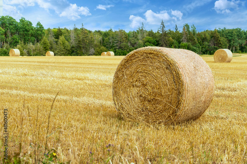 Hay bales in farm fields in rural Prince Edward Island, Canada.