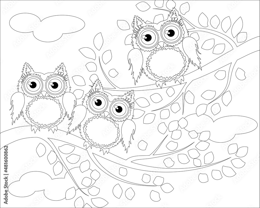 Fototapeta premium Coloring book for adult and older children. Coloring page with cute owl and floral frame. Outline drawing in zentangle style