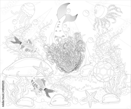 Beautiful mermaid. Underwater world. Anti stress coloring book for adult. Outline drawing coloring page. Black and white in zentangle style. Sea  shells. Marine theme.