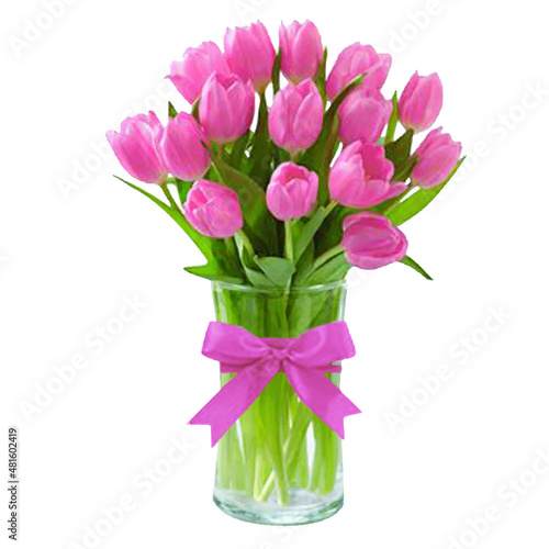 pink tulips in a vase isolated