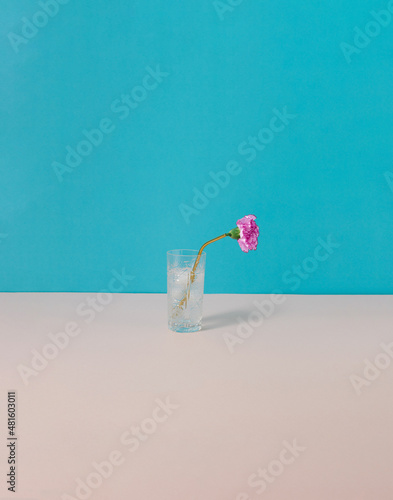 Cold drink in a vintage glass, with a gold straw and a pink flower on blue and pink background. Minimal concept. photo