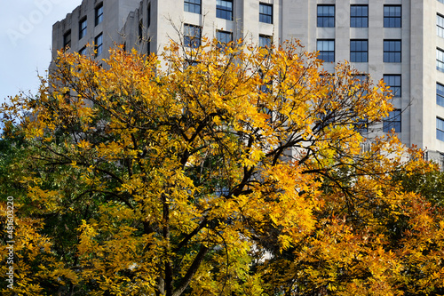 Autumn in NY