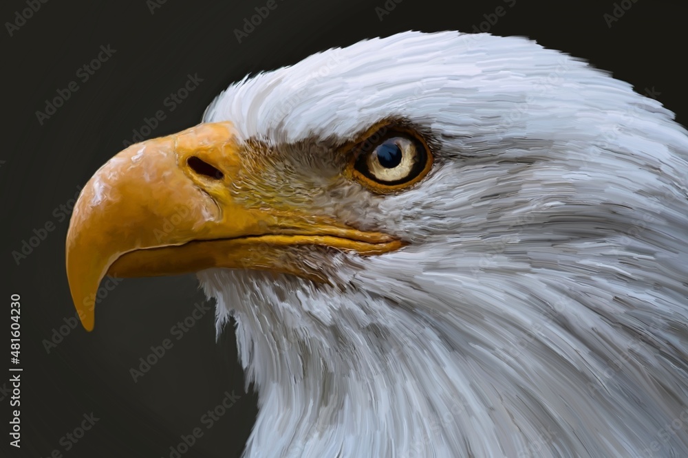 Obraz premium American bald eagle. Digital illustration, bald eagle. DIGITAL ART ILLUSTRATION