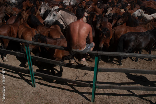 A boy waits to enter to hold wild horses in the rapa das bestas de Amil