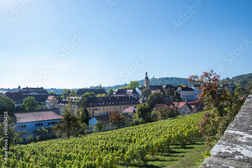 Bamberger Stiftsgarten mit Weinanbau