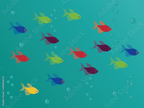 Different colours tetra glofish school vector illustration