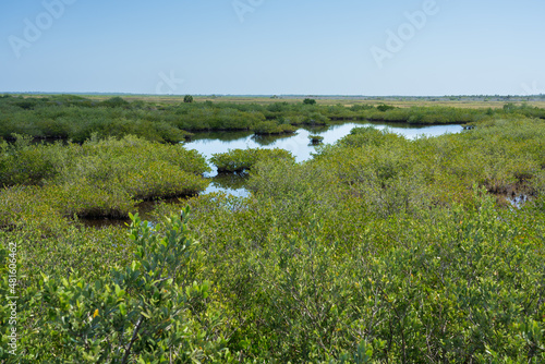 View from Meritt Island, Florida, USA. photo